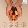 image:imageFall Whispers Aroma Oil Set  Pack of 6  Cozy Nostalgic Scents for Diffusers  Embrace Autumns Warmth with Earthy Spiced amp Comforting Aromas
