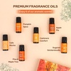 image:imageFall Whispers Aroma Oil Set  Pack of 6  Cozy Nostalgic Scents for Diffusers  Embrace Autumns Warmth with Earthy Spiced amp Comforting Aromas