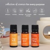 image:imageFall Whispers Aroma Oil Set  Pack of 6  Cozy Nostalgic Scents for Diffusers  Embrace Autumns Warmth with Earthy Spiced amp Comforting Aromas