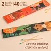 image:imageMood Autumn Incense Sticks  Pack of 2  Fall Scented SlowBurning Organic Incense for Home  Cozy Nostalgic Aromas for Relaxation Meditation amp Seasonal Decor  40 Premium Sticks