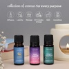 image:imageStarry Spell Fragrance Oil Set  6 Magical amp Calming Aromatherapy Blends for Stress Relief Relaxation amp Emotional Wellness  Mystical Fragrance Oils for Diffusers Massage amp MeditationStarry Spell