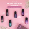 image:imageStarry Spell Fragrance Oil Set  6 Magical amp Calming Aromatherapy Blends for Stress Relief Relaxation amp Emotional Wellness  Mystical Fragrance Oils for Diffusers Massage amp MeditationSleep Essentials
