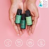 image:imageStarry Spell Fragrance Oil Set  6 Magical amp Calming Aromatherapy Blends for Stress Relief Relaxation amp Emotional Wellness  Mystical Fragrance Oils for Diffusers Massage amp MeditationChristmas