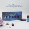 image:imageStarry Spell Fragrance Oil Set  6 Magical amp Calming Aromatherapy Blends for Stress Relief Relaxation amp Emotional Wellness  Mystical Fragrance Oils for Diffusers Massage amp MeditationStarry Spell