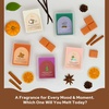 image:imageVanilla Sands Melts  Pack of 3  LongLasting Scented Cubes for Home Fragrance amp Warmers  Soft Aromatherapy Blend for Slow Easy LivingChristmas Tree
