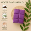 image:imageVanilla Sands Melts  Pack of 3  LongLasting Scented Cubes for Home Fragrance amp Warmers  Soft Aromatherapy Blend for Slow Easy LivingChristmas Tree