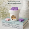 image:imageVanilla Sands Melts  Pack of 3  LongLasting Scented Cubes for Home Fragrance amp Warmers  Soft Aromatherapy Blend for Slow Easy LivingChristmas Tree