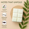 image:imageVanilla Sands Melts  Pack of 3  LongLasting Scented Cubes for Home Fragrance amp Warmers  Soft Aromatherapy Blend for Slow Easy LivingCoconut and Vanilla