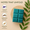 image:imageVanilla Sands Melts  Pack of 3  LongLasting Scented Cubes for Home Fragrance amp Warmers  Soft Aromatherapy Blend for Slow Easy LivingLavender Woods