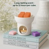 image:imageVanilla Sands Melts  Pack of 3  LongLasting Scented Cubes for Home Fragrance amp Warmers  Soft Aromatherapy Blend for Slow Easy LivingPumpkin and Spice