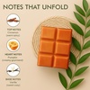 image:imageVanilla Sands Melts  Pack of 3  LongLasting Scented Cubes for Home Fragrance amp Warmers  Soft Aromatherapy Blend for Slow Easy LivingPumpkin and Spice