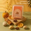 image:imageVanilla Sands Melts  Pack of 3  LongLasting Scented Cubes for Home Fragrance amp Warmers  Soft Aromatherapy Blend for Slow Easy LivingPumpkin and Spice