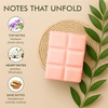 image:imageVanilla Sands Melts  Pack of 3  LongLasting Scented Cubes for Home Fragrance amp Warmers  Soft Aromatherapy Blend for Slow Easy LivingVanilla Sands