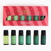 image:imageStarry Spell Fragrance Oil Set  6 Magical amp Calming Aromatherapy Blends for Stress Relief Relaxation amp Emotional Wellness  Mystical Fragrance Oils for Diffusers Massage amp MeditationChristmas