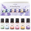 image:imageStarry Spell Fragrance Oil Set  6 Magical amp Calming Aromatherapy Blends for Stress Relief Relaxation amp Emotional Wellness  Mystical Fragrance Oils for Diffusers Massage amp MeditationIts Laundry Day