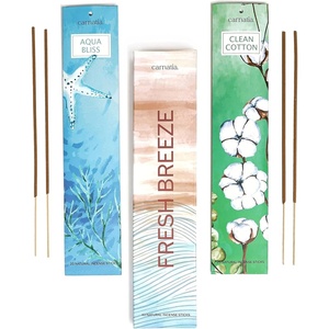 image:imageHouse of Joy Incense Sticks  Set of 2 Uplifting Scents  Festive LongLasting Aromas for Holiday Cheer Cozy Gatherings amp a Joyful HomeFresh Breeze